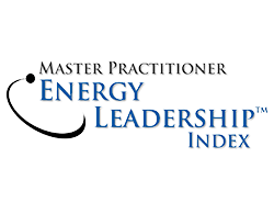 Master Practitioner Energy Leadership Index logo
